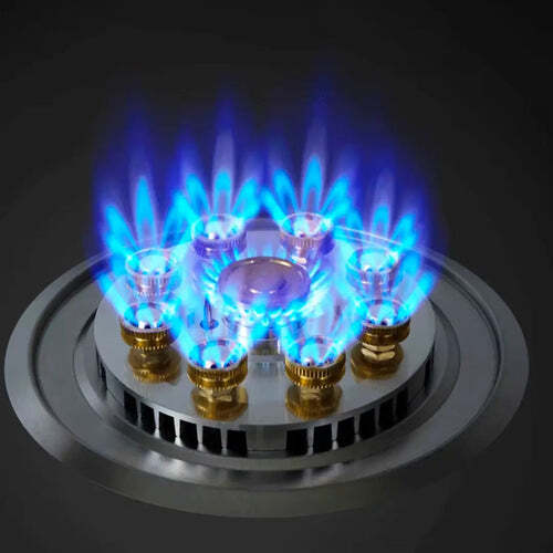 Cocina Eléctrica Portátil (No Necessita Gas)